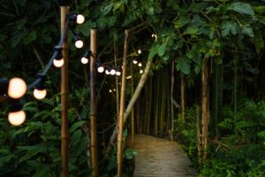 EtxeXuria-cabane passerelle bambous alumée